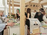 IMG_20190517_140255