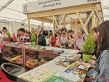 IMG_20190517_141049