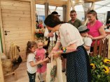 IMG_20190519_120152
